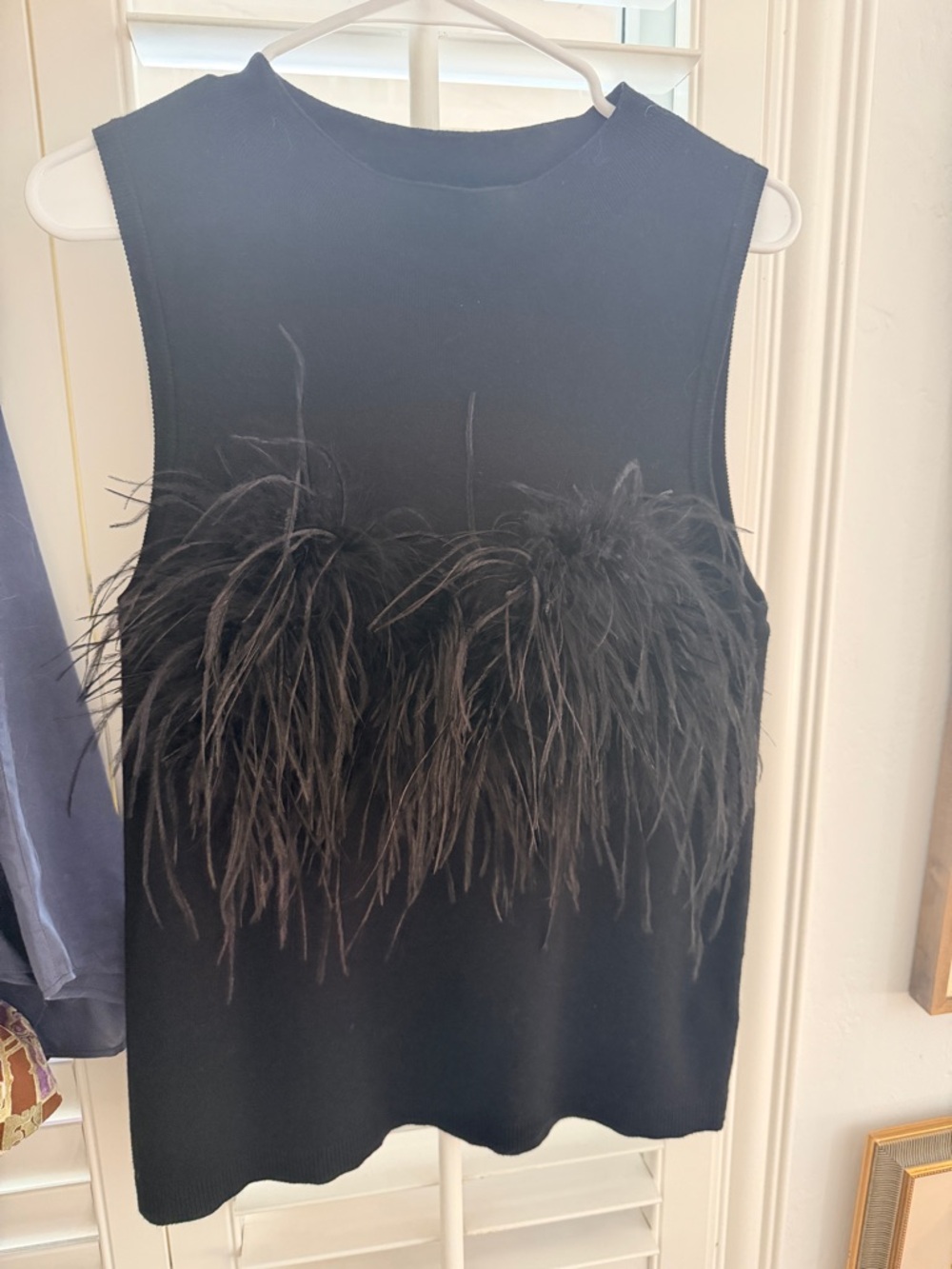 MELISSA NEPTON Black ostrich Feather-Trim Sleeveless knit Top